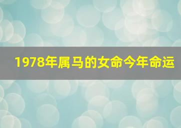 1978年属马的女命今年命运