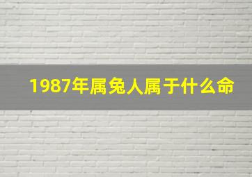 1987年属兔人属于什么命