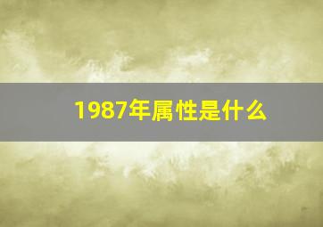 1987年属性是什么