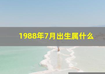 1988年7月出生属什么