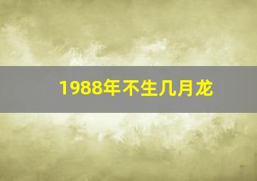 1988年不生几月龙