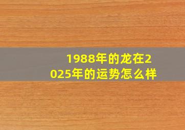 1988年的龙在2025年的运势怎么样