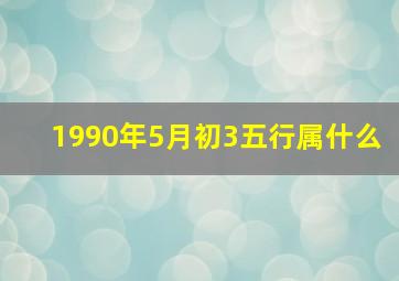 1990年5月初3五行属什么