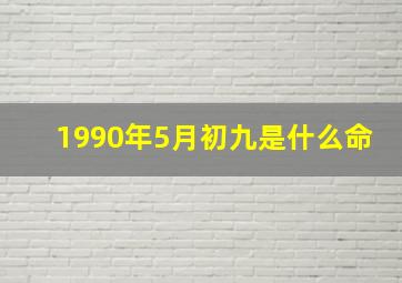 1990年5月初九是什么命