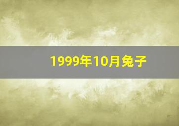 1999年10月兔子