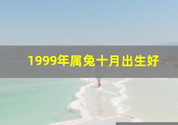 1999年属兔十月出生好