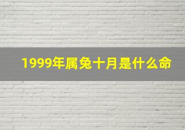 1999年属兔十月是什么命