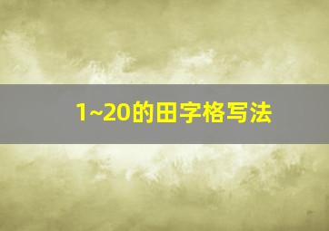 1~20的田字格写法