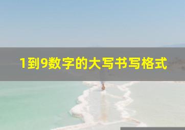 1到9数字的大写书写格式