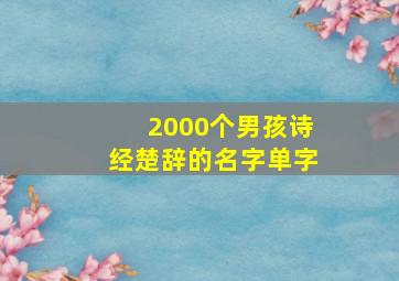 2000个男孩诗经楚辞的名字单字