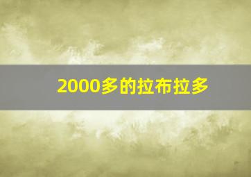 2000多的拉布拉多