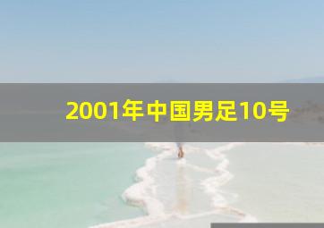 2001年中国男足10号