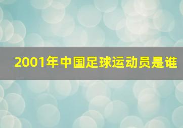 2001年中国足球运动员是谁