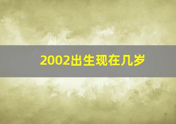 2002出生现在几岁