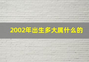 2002年出生多大属什么的