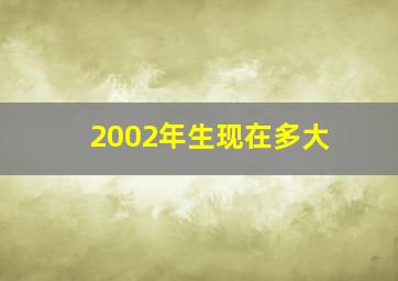 2002年生现在多大