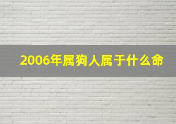 2006年属狗人属于什么命