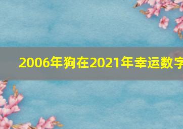 2006年狗在2021年幸运数字