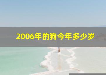 2006年的狗今年多少岁