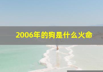 2006年的狗是什么火命