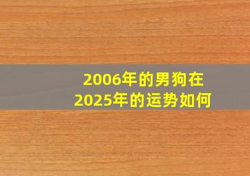 2006年的男狗在2025年的运势如何