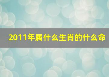 2011年属什么生肖的什么命