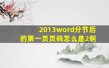 2013word分节后的第一页页码怎么是2啊