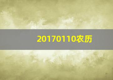 20170110农历