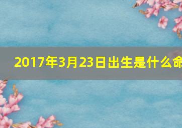 2017年3月23日出生是什么命