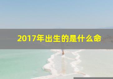 2017年出生的是什么命