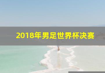 2018年男足世界杯决赛