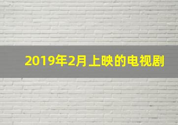 2019年2月上映的电视剧