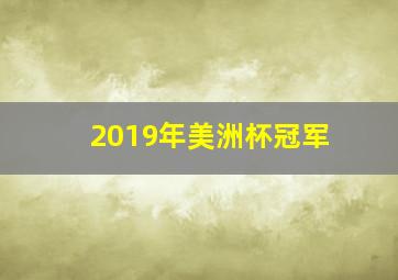 2019年美洲杯冠军