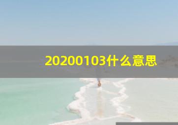 20200103什么意思