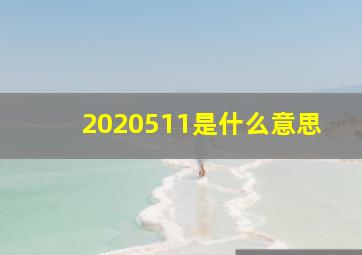 2020511是什么意思