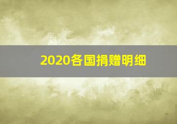 2020各国捐赠明细