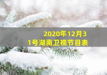 2020年12月31号湖南卫视节目表