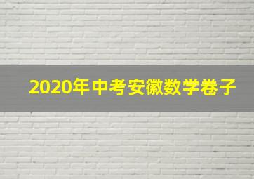 2020年中考安徽数学卷子