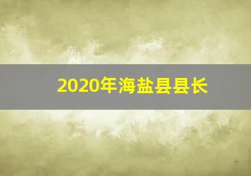 2020年海盐县县长