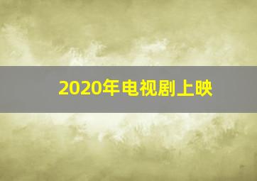 2020年电视剧上映