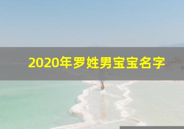 2020年罗姓男宝宝名字