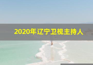 2020年辽宁卫视主持人