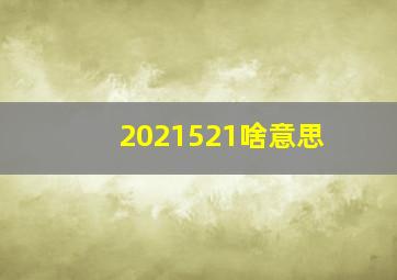 2021521啥意思