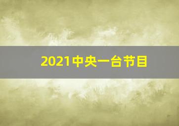 2021中央一台节目