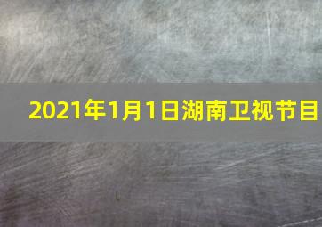 2021年1月1日湖南卫视节目