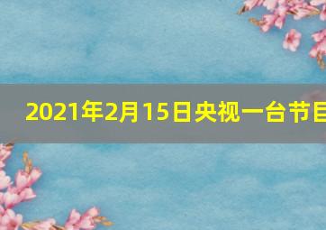 2021年2月15日央视一台节目