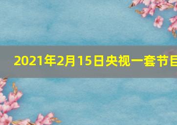 2021年2月15日央视一套节目