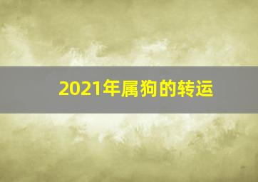 2021年属狗的转运