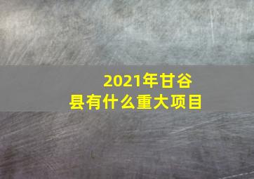 2021年甘谷县有什么重大项目