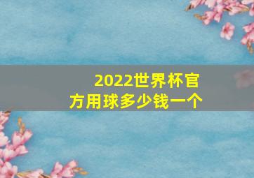 2022世界杯官方用球多少钱一个